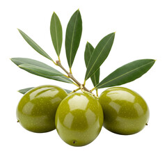 Obraz premium green olives on a branch