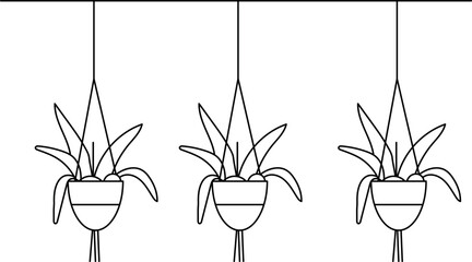flowers in a vase