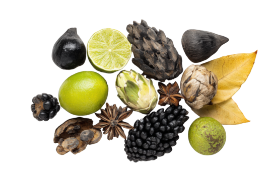 Colorful and textured assortment of fruits and botanical elements