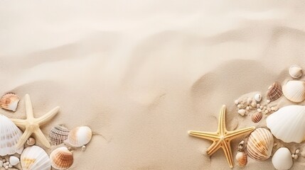 sea shells and starfish