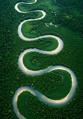 緑の蛇行