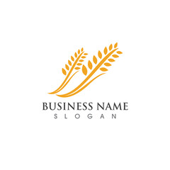 Agriculture wheat vector