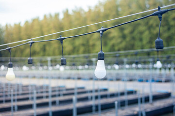Greenhouse lighting and bulbs. Outdoor vegetable plots. Modern outdoor farms with artificial...