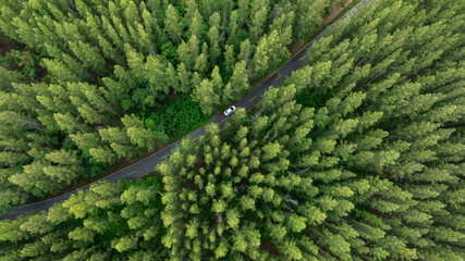 Aerial view of dark green forest road and white electric car Natural landscape and elevated roads Adventure travel and transportation and environmental protection concept