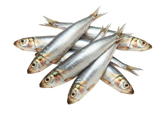 Fototapeta premium Fresh silver fish pile high resolution seafood image transparent background