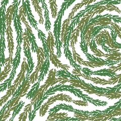 Floral illus Pattern 