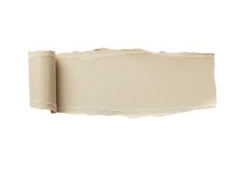 Torn paper piece with rolled edge beige blank space textured copy space template