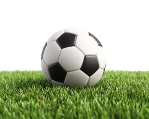 Soccer ball on vibrant green grass