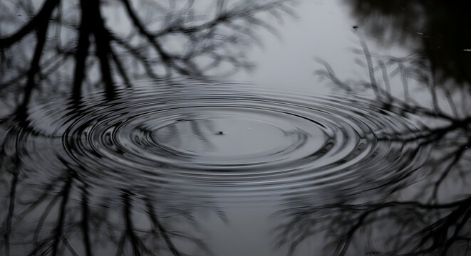 Water droplet creates ripples on a dark pond reflecting bare winter trees on a cloudy day, creating a serene and slightly melancholic atmosphere.