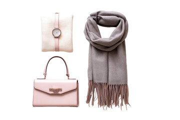 Stylish accessories  pale pink bag, cream watch case, gray scarf