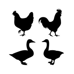 Fototapeta premium Silhouette depiction of a hen, rooster, and two geese standing on a white isolated background view