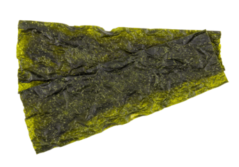 Dried seaweed sheets green algae asian cuisine ingredient food texture culinary photography transparent background