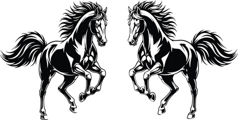 Black silhouette vector illustration of two rearing horses with flowing manes and muscular bodies for equine, dynamic, and artistic design themes © Asad Creative
