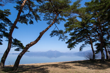Inawashiro Lake and pine forest in spring