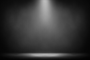 White spotlight shines down on the smoky floor in a luxurious black room.