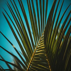 Tropical Palm Fronds Blue Sky Summer Green Abstract Nature Relaxation