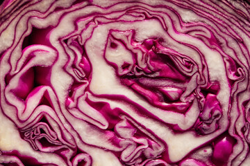 Obraz premium red cabbage slice close up
