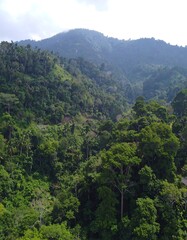 Obraz premium Lush green mountain valley