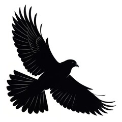 Obraz premium A striking silhouette of a black bird in flight against a plain white background displaying wings spread
