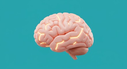 A three-dimensional anatomical model of a human brain, highlighted with luminous pathways, set against a teal background.