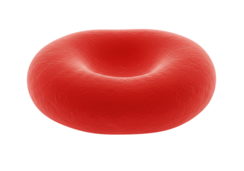 Red blood cell microscopic view human biology science medical illustration healthcare anatomy