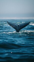 Fototapeta premium Whale tail emerging from ocean waters, creating splashes in a tranquil setting.