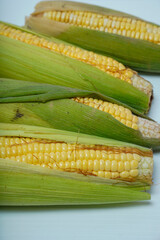 close up view of corn after harvest isolated on white background for advertising space