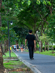 Fototapeta premium People Running and Walking Exercise in Lush Green Public Park with Shade Trees - Outdoor Fitness Activity.