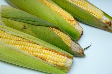 close up view of corn after harvest isolated on white background for advertising space