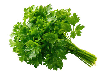 Fresh, vibrant bunch of parsley