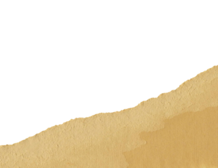 Crumped Brown Paper with Turn Edges Isolated