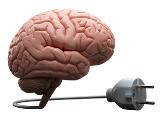 3D Render of a Brain Connected to an Electrical Plug on Transparent Background