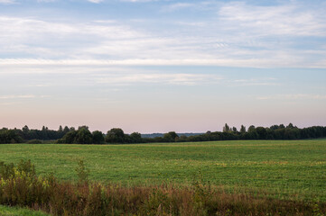 Air dawn summer landscape with large meadow, far forest under blue sky with white clouds. Natural summer background.
