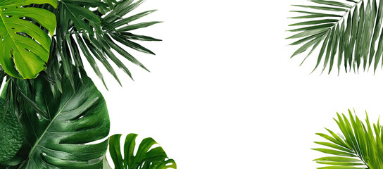 Tropical foliage art. Lush green leaves in various shapes and textures