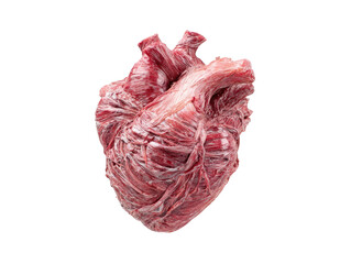 A realistic depiction of a raw heart