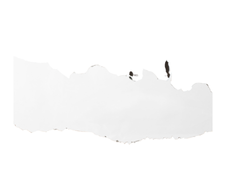 White Crumpled, Torn White Paper Texture