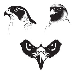Peregrine falcon bird face silhouette vector illustration set collection white background
