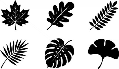Botanical Leaf Silhouettes.eps