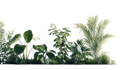 Plants in 3D rendering on transparent background