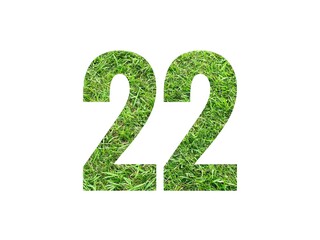 Design number 22 with grass texture isolated on white background