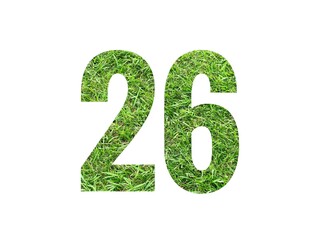 Design number 26 with grass texture isolated on white background