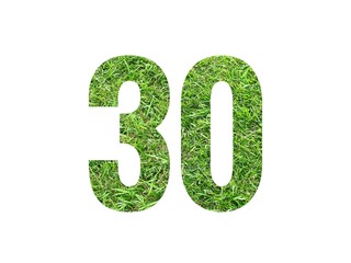 Design number 30 with grass texture isolated on white background