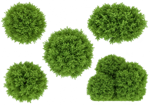 Collection of five green leafy bushes, isolated on transparent background
