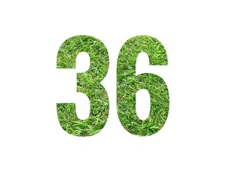 Design number 36 with grass texture isolated on white background
