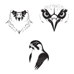 Peregrine falcon bird face silhouette vector illustration set collection white background
