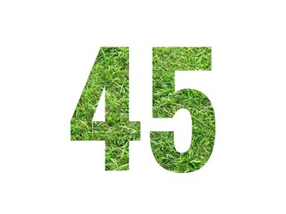 Design number 45 with grass texture isolated on white background
