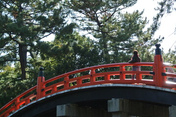 japanese garden with bridge