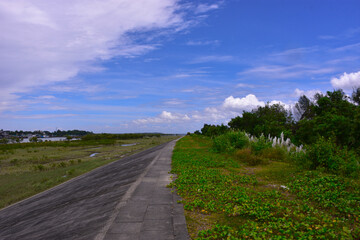 road in the countryside