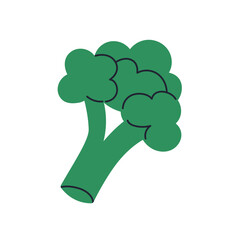 Broccoli vegetable head. Fresh green farm produce, natural organic vitamin food. Healthy vegan vegetarian diet product, brocoli icon. Flat graphic vector illustration isolated on white background