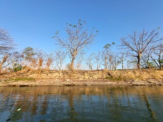 Dry riverbank with bare trees reflecting in calm water under bright blue sky